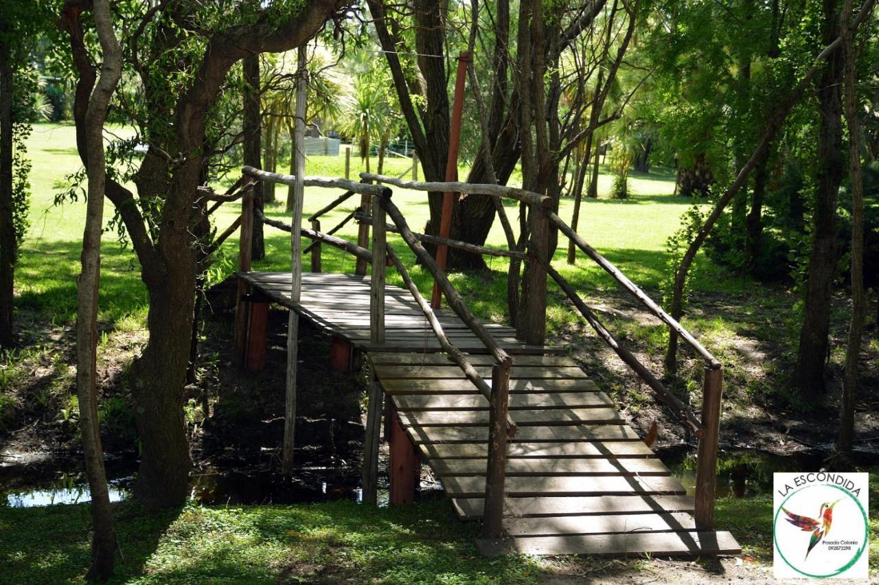 Vila Chacra La Escondida Colonia del Sacramento Exteriér fotografie